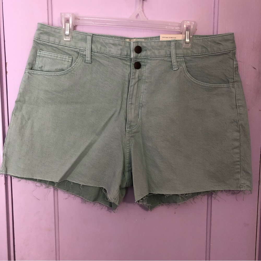 NWT Universal Thread mint green jean shorts